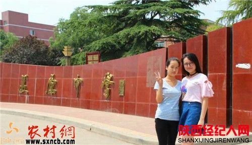 中纤板销量持续向好 杉木指接板销量减少_太阳成集团tyc7111cc(图3) 太阳成集团tyc7111cc