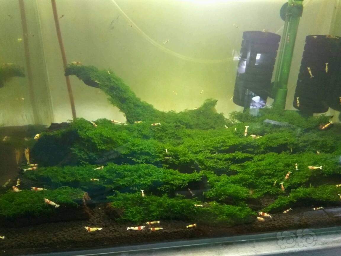 太阳成集团tyc7111cc_国米疯狂输血打造1亿中轴线 叫板尤文欲重回王座(图1) 太阳成集团tyc7111cc