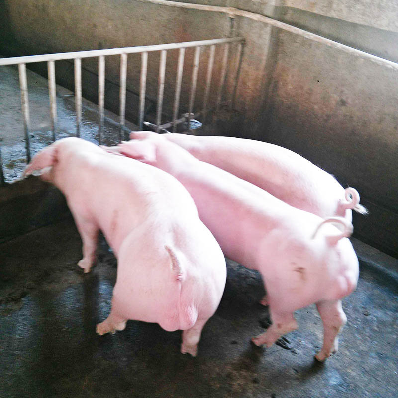 太阳成集团tyc7111cc