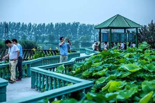 ‘太阳成集团tyc7111cc’挂机赚钱简操作,网络暴富故事多,网赚江湖真太乱,涉及付费请三思(图1) 太阳成集团tyc7111cc