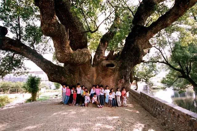 原创中国企业成催化剂!尤文国米领衔烧钱榜,不再吝啬的意甲正在崛起-太阳成集团tyc7111cc(图2) 太阳成集团tyc7111cc