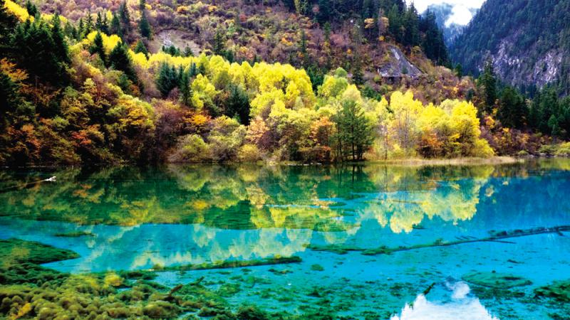 太阳成集团tyc7111cc