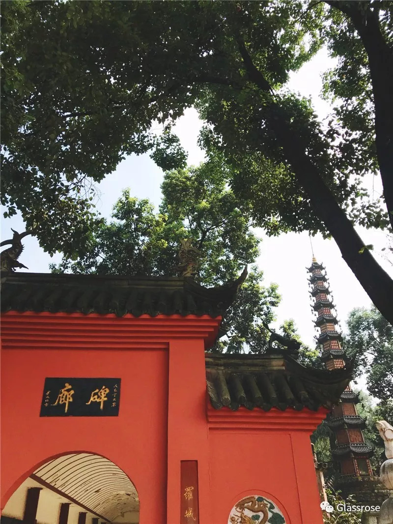 太阳成集团tyc7111cc