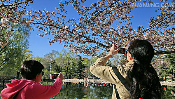 太阳成集团tyc7111cc