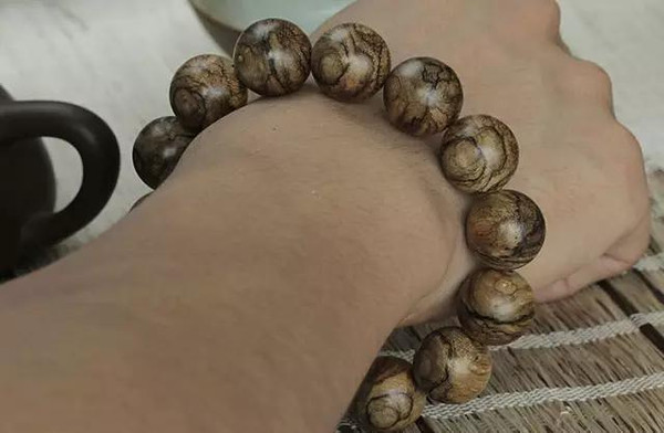 太阳成集团tyc7111cc