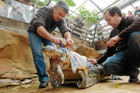 “太阳成集团tyc7111cc”41场34球!国米“弃将”加比戈尔当选南美足球先生(图3) 太阳成集团tyc7111cc