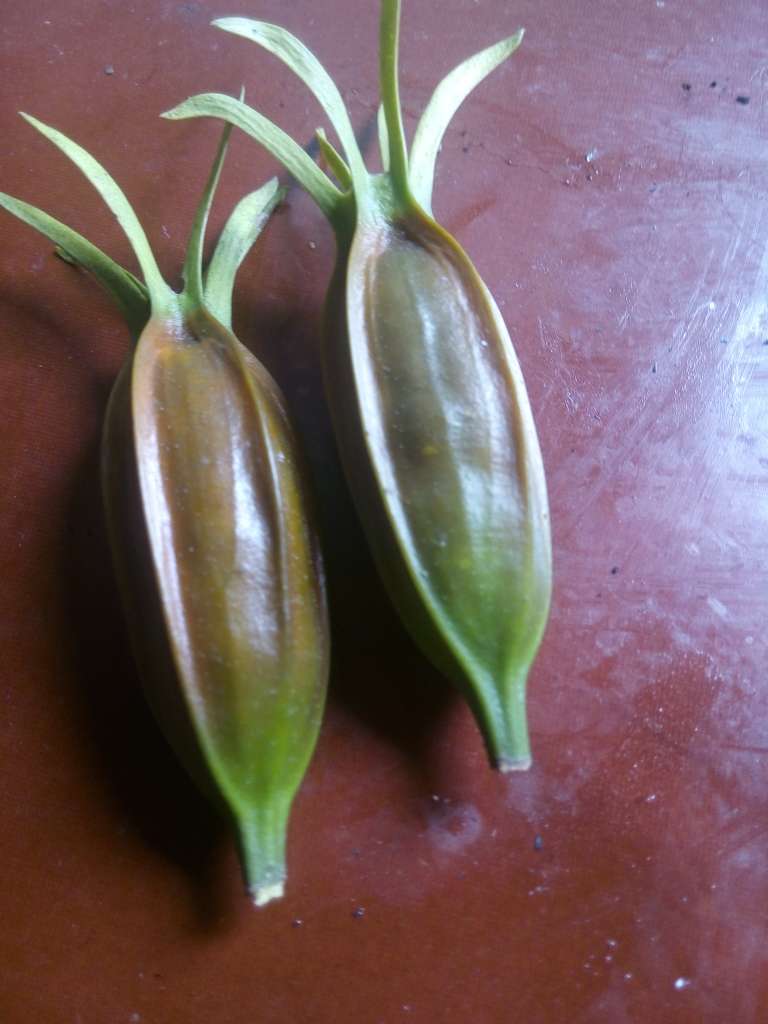 太阳成集团tyc7111cc