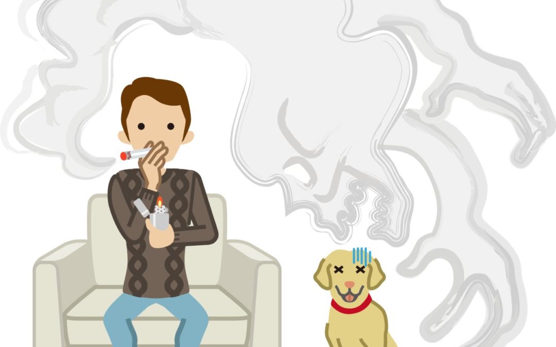 太阳成集团tyc7111cc