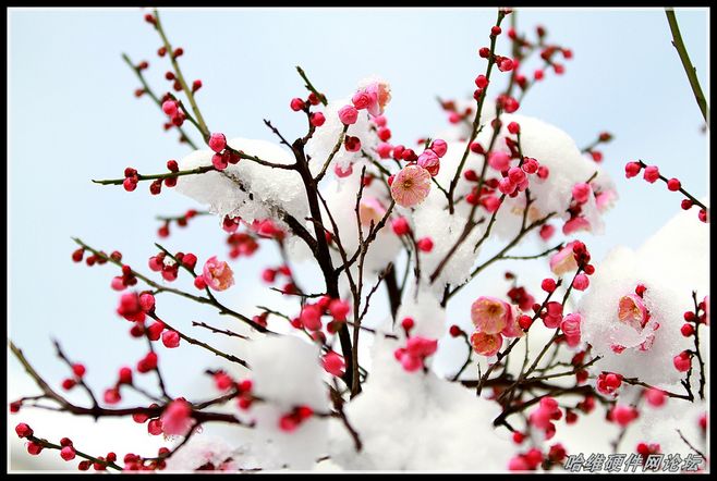 太阳成集团tyc7111cc|
什么是DAU 精致化运营数据分析中常用英文缩写看这篇文章就够了(图1) 太阳成集团tyc7111cc