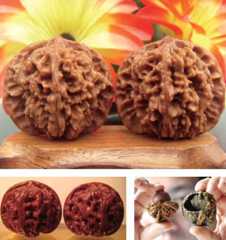 太阳成集团tyc7111cc