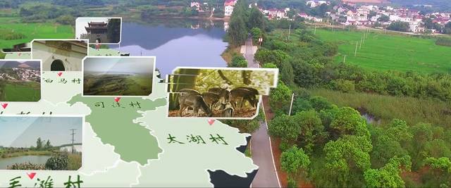 太阳成集团tyc7111cc