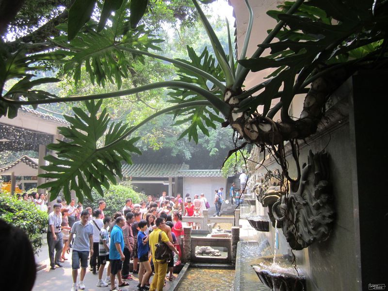 太阳成集团tyc7111cc