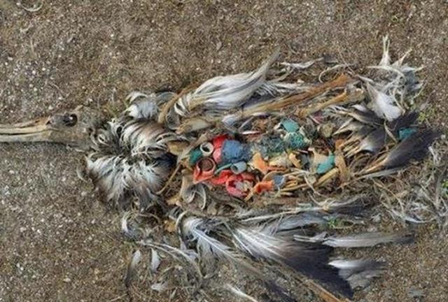 太阳成集团tyc7111cc