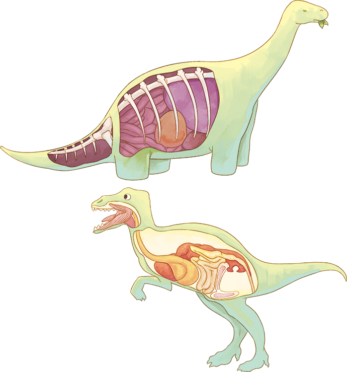 太阳成集团tyc7111cc