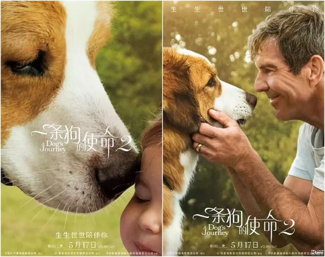 ‘太阳成集团tyc7111cc’北方口岸木材价格创近5年新高!(图2) 太阳成集团tyc7111cc