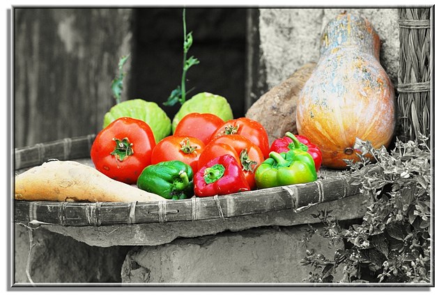 建材无创新,家装伤透心!精材艺匠全屋易装+,家装行业新变革!‘太阳成集团tyc7111cc’(图1) 太阳成集团tyc7111cc