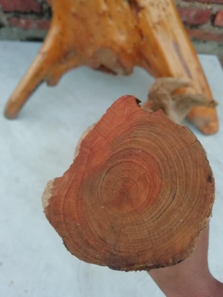 加拿大木材商希望在新年前接到更多中国订单‘太阳成集团tyc7111cc’(图4) 太阳成集团tyc7111cc