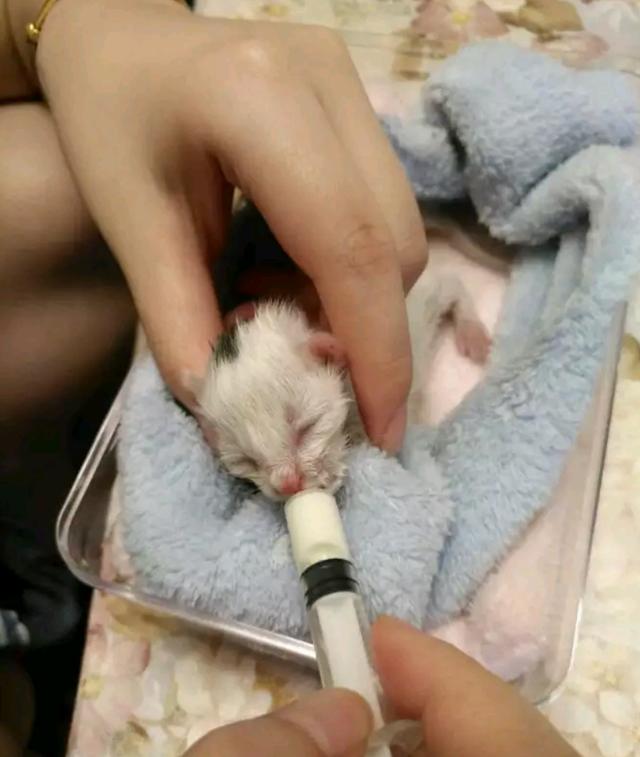 人造板绿色化发展亟需提速-太阳成集团tyc7111cc(图1) 太阳成集团tyc7111cc