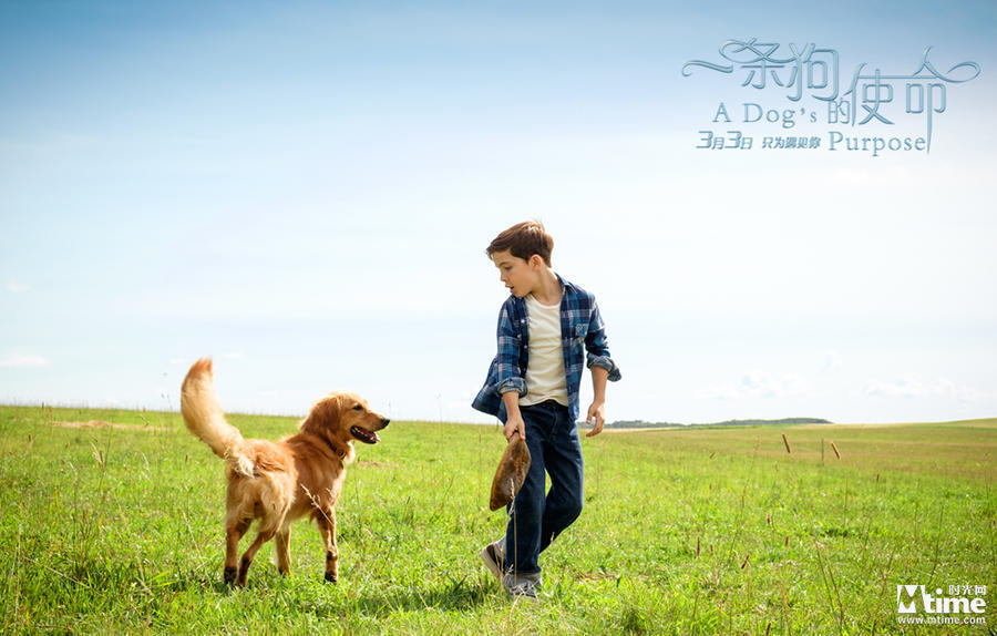 木地板市场涨价 只因基材价格大涨‘太阳成集团tyc7111cc’(图3) 太阳成集团tyc7111cc