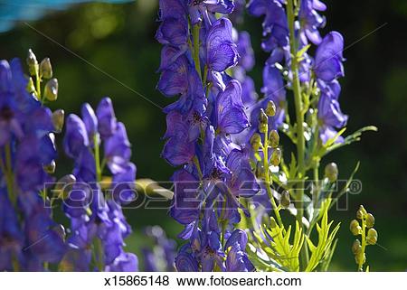 太阳成集团tyc7111cc