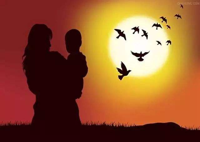 太阳成集团tyc7111cc_北美SPF市场正在寻找新的底部(图1) 太阳成集团tyc7111cc