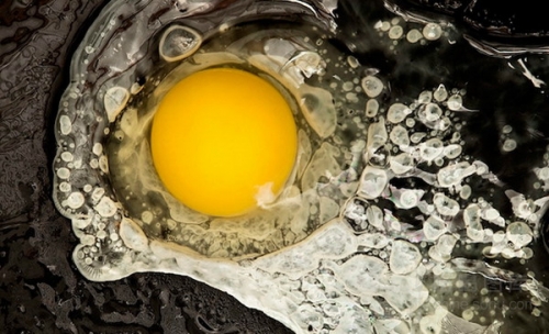 太阳成集团tyc7111cc