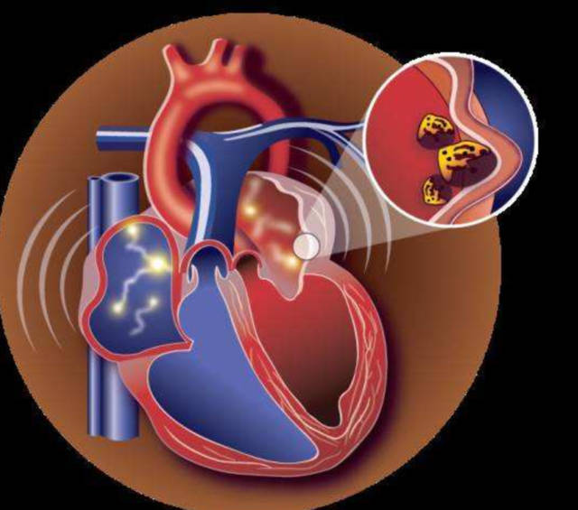 太阳成集团tyc7111cc