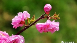 原创曼联的好消息:只需要1.5亿欧,他们就能在今年夏天升级后防线_太阳成集团tyc7111cc(图1) 太阳成集团tyc7111cc