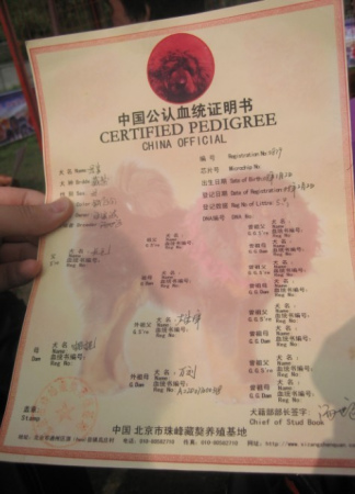 太阳成集团tyc7111cc