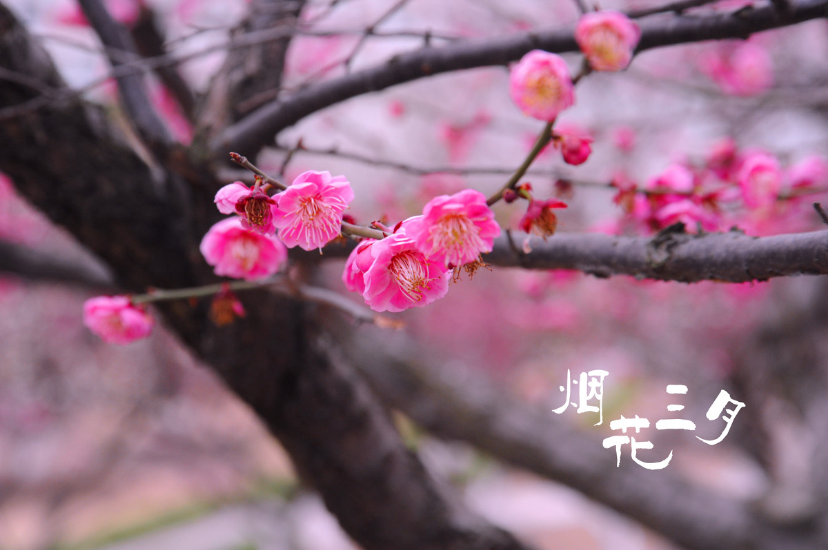 原创 欧陆足坛风云:罗马客胜切沃跃居前四,勒沃库森大胜美因茨!_太阳成集团tyc7111cc(图2) 太阳成集团tyc7111cc