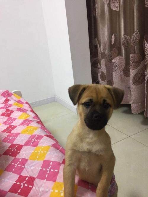 环保局以十个标准确定“小散乱污”企业!-太阳成集团tyc7111cc(图4) 太阳成集团tyc7111cc