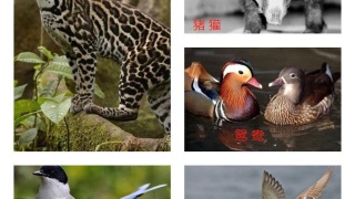 太阳成集团tyc7111cc