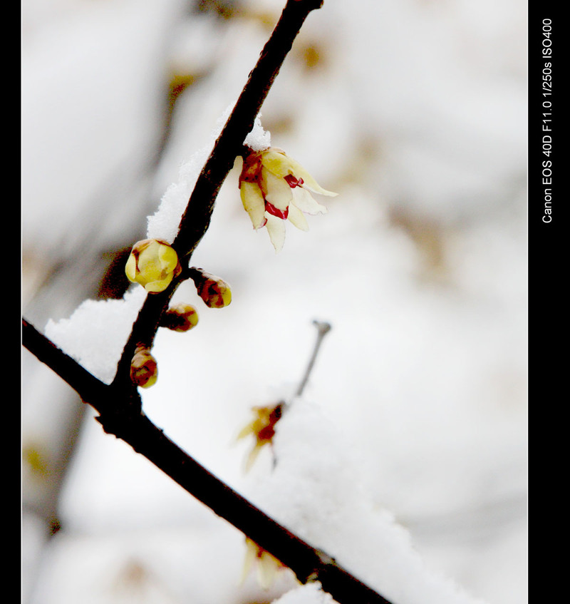 欧盟要求我国木制家具等出口必须通过FSC认证【太阳成集团tyc7111cc】(图2) 太阳成集团tyc7111cc