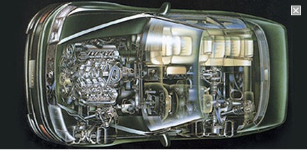 【太阳成集团tyc7111cc】太仓以及岚山地区原木价格接近峰值(图4) 太阳成集团tyc7111cc