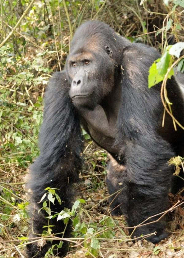 太阳成集团tyc7111cc