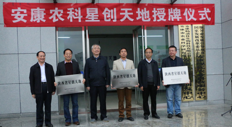 太阳成集团tyc7111cc-国内市场欧洲榉木价格顺势上涨50—100元(图1) 太阳成集团tyc7111cc