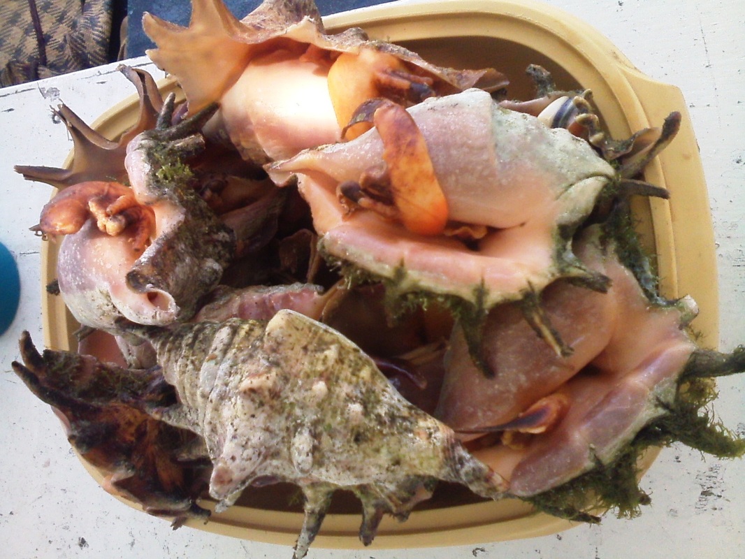 《吐槽大会》第二季周日回归 灵魂弹幕要“边走边吐”才最酷炫‘太阳成集团tyc7111cc’(图3) 太阳成集团tyc7111cc