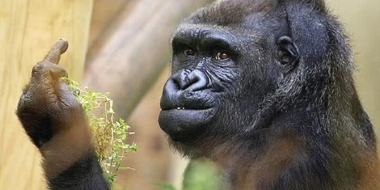 《吐槽大会》第二季周日回归 灵魂弹幕要“边走边吐”才最酷炫‘太阳成集团tyc7111cc’(图4) 太阳成集团tyc7111cc