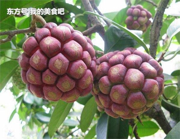 太阳成集团tyc7111cc