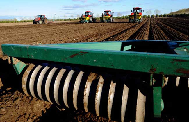 解约米兰火速再就业 都灵官宣米哈加盟签约两年_太阳成集团tyc7111cc(图2) 太阳成集团tyc7111cc