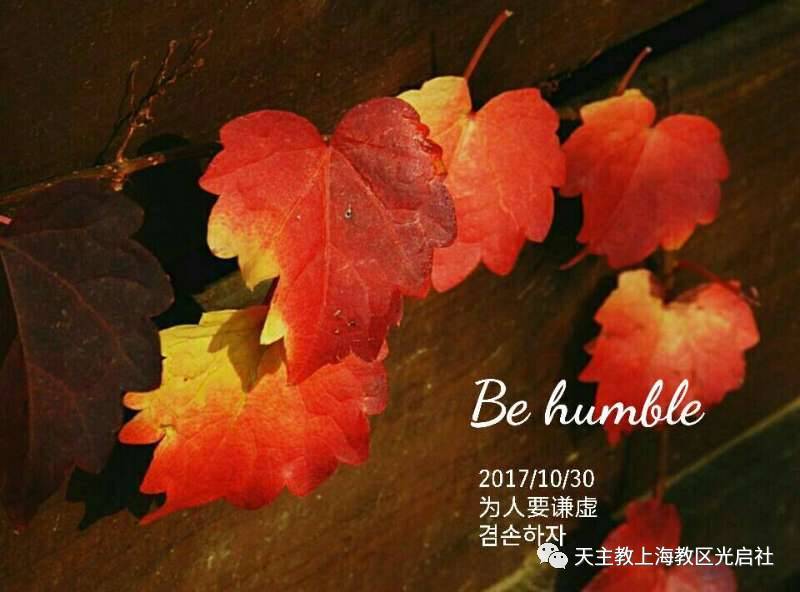 太阳成集团tyc7111cc-颜强:十六强抽签,欧冠真正“开始”(图1) 太阳成集团tyc7111cc