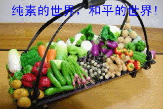 国米愿出3000万欧,帕斯托雷同意降薪加盟“太阳成集团tyc7111cc”(图1) 太阳成集团tyc7111cc