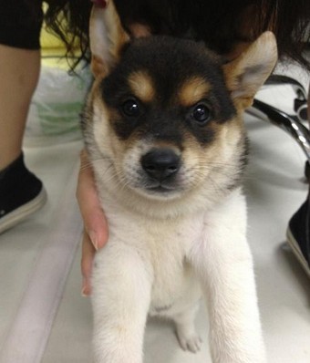 太阳成集团tyc7111cc