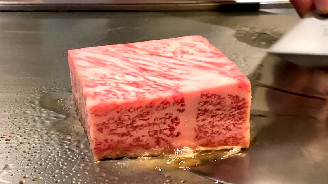 太阳成集团tyc7111cc