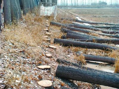 ‘太阳成集团tyc7111cc’刺激!蓝军10分钟3球绝地求生上次是伊斯坦布尔(图4) 太阳成集团tyc7111cc