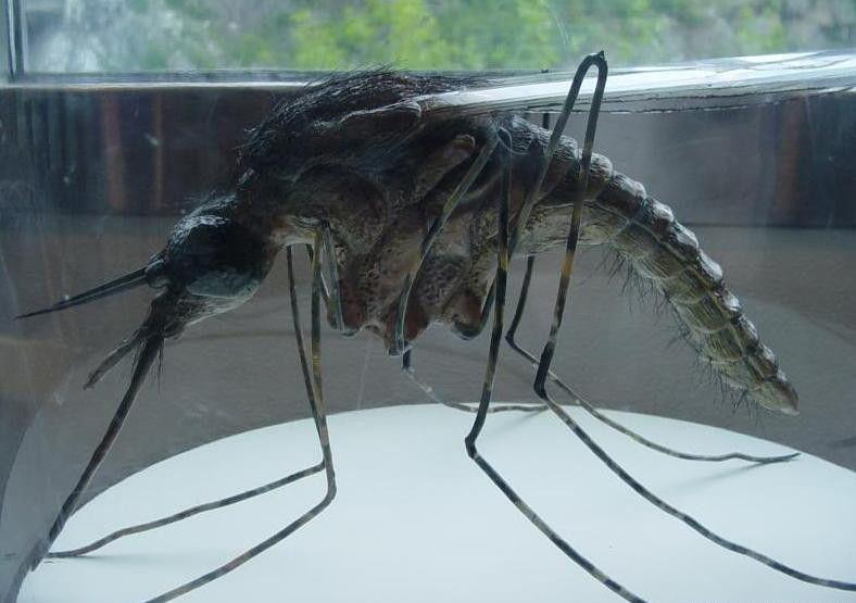 盘货!2020上半年20款外洋优秀海报设计:太阳成集团tyc7111cc(图2) 太阳成集团tyc7111cc