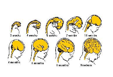 解决电脑弹出广告3个简朴妙招:太阳成集团tyc7111cc(图3) 太阳成集团tyc7111cc