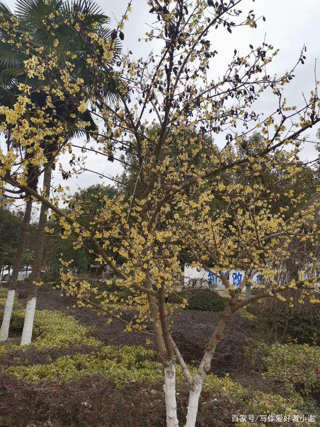 2009年广东家具出口面临美国环保新标准的夹击“太阳成集团tyc7111cc”(图1) 太阳成集团tyc7111cc