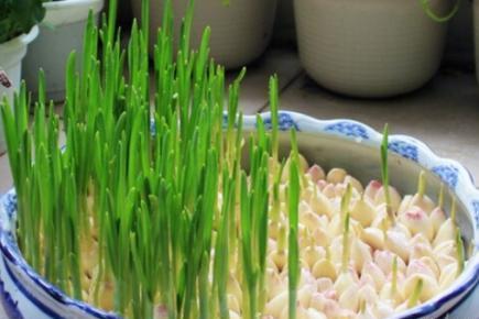 太阳成集团tyc7111cc