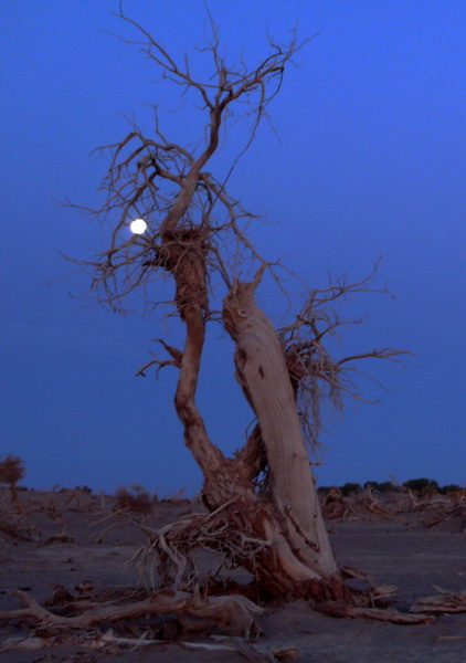 “太阳成集团tyc7111cc”国米利好!免签阿森纳功勋达协议 年薪700万欧(图2) 太阳成集团tyc7111cc